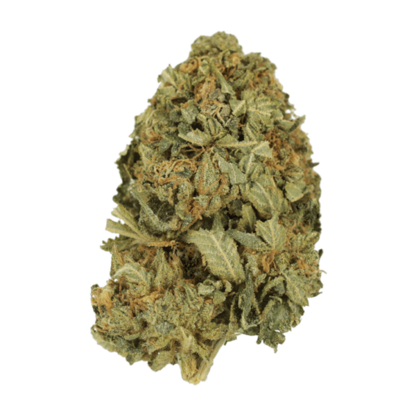 G13 | Budderweeds Canada