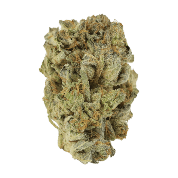 Mimosa Punch | Budderweeds Canada