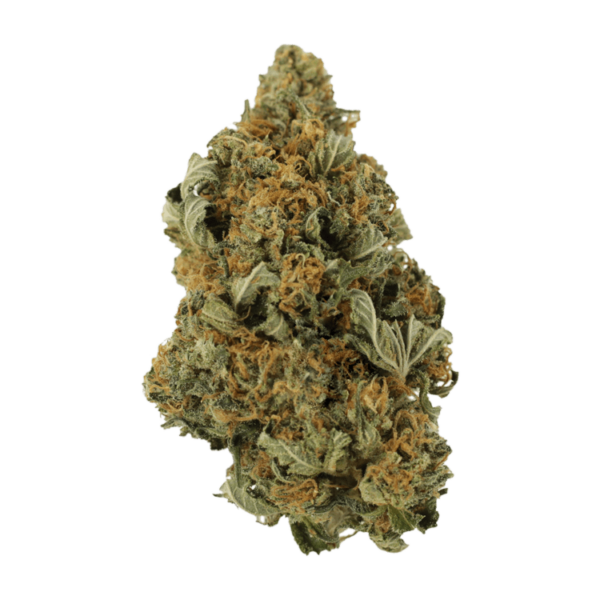 God’s Bubba | Budderweeds Canada