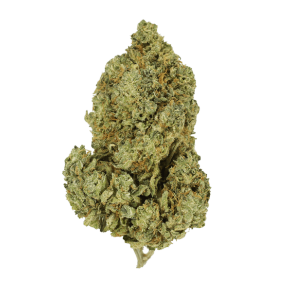 Scooby Snacks | Budderweeds Canada