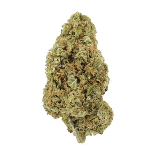 Sour Jack | Budderweeds Canada