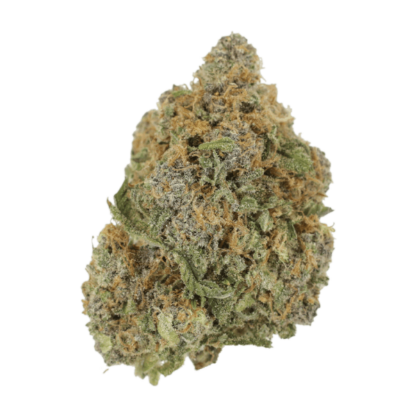 Jagermeister | Budderweeds Canada
