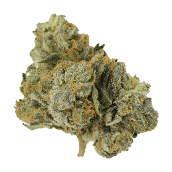 Mango Cream | Budderweeds Canada