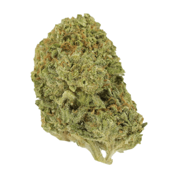 Mango Cream | Budderweeds Canada