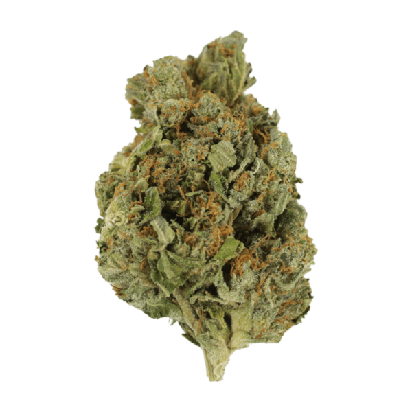 Mango Cream | Budderweeds Canada