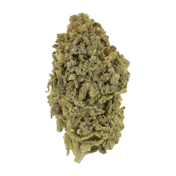 Watermelon Gelato | Budderweeds Canada