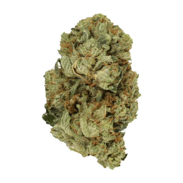 Pink Starburst | Budderweeds Canada