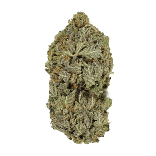 Purple Dream | Budderweeds Canada