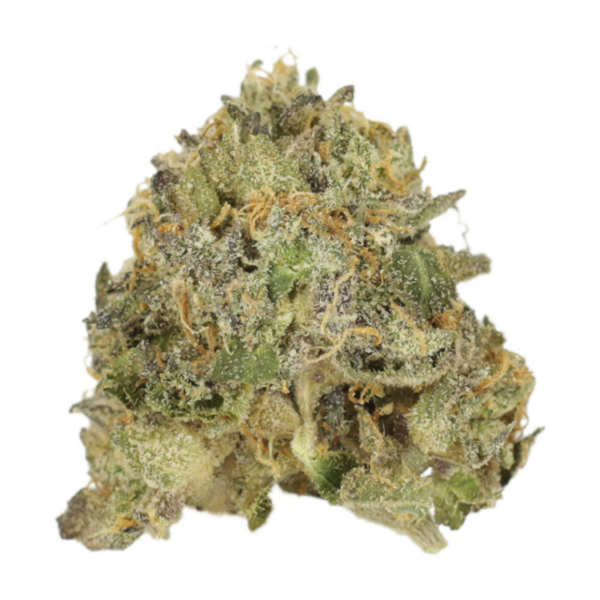 Vanilla Kush | Budderweeds Canada