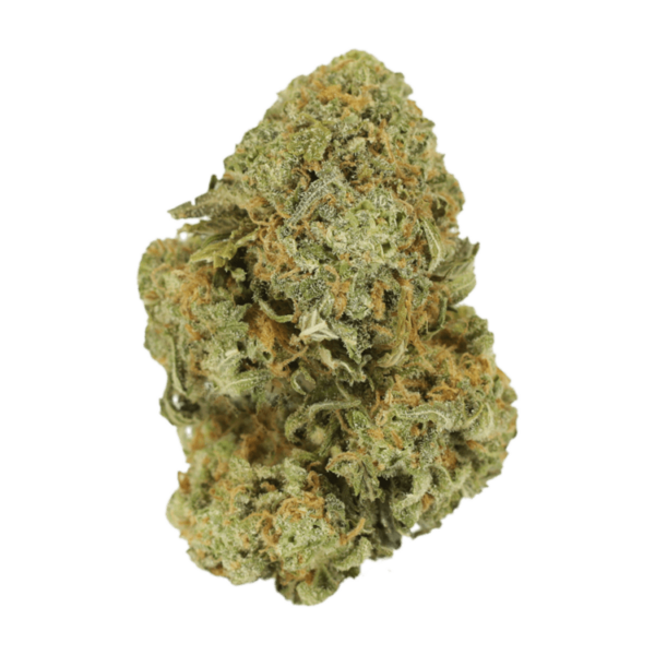 Watermelon Gelato | Budderweeds Canada