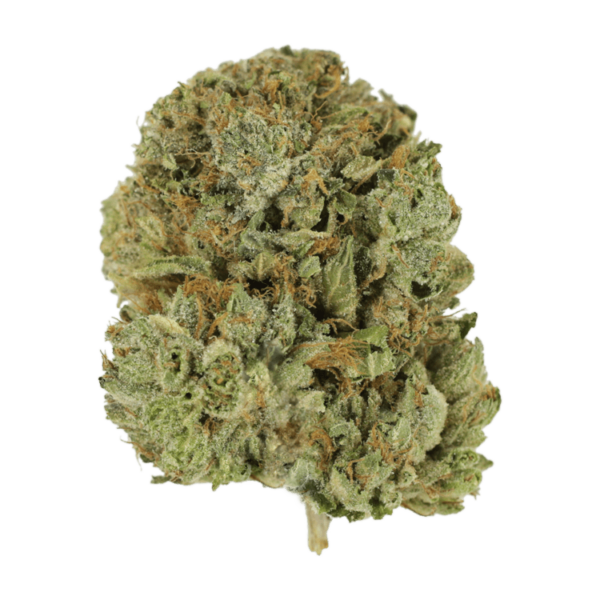 Pink Taco | Budderweeds Canada