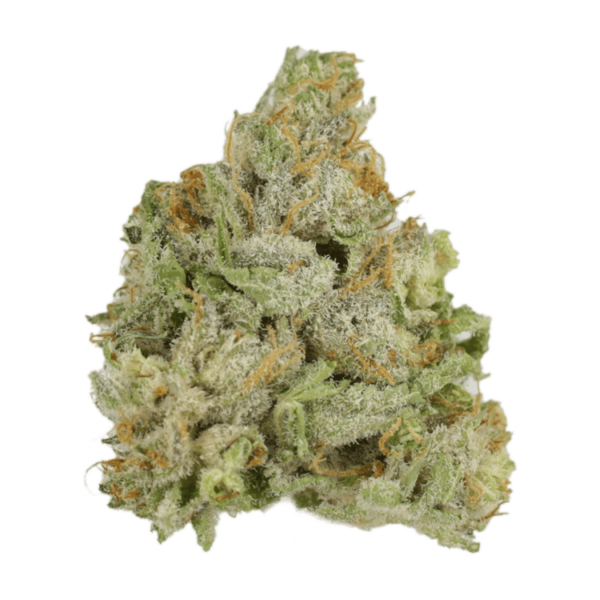 El Jefe | Budderweeds Canada