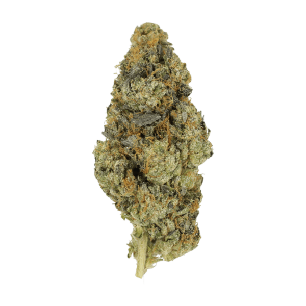 DoSi Face | Budderweeds Canada