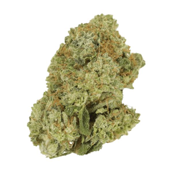 Malawi Gold | Budderweeds Canada