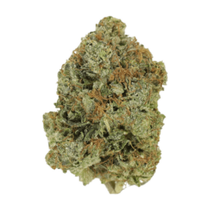 Jack Herer (popcorn) | Budderweeds Canada