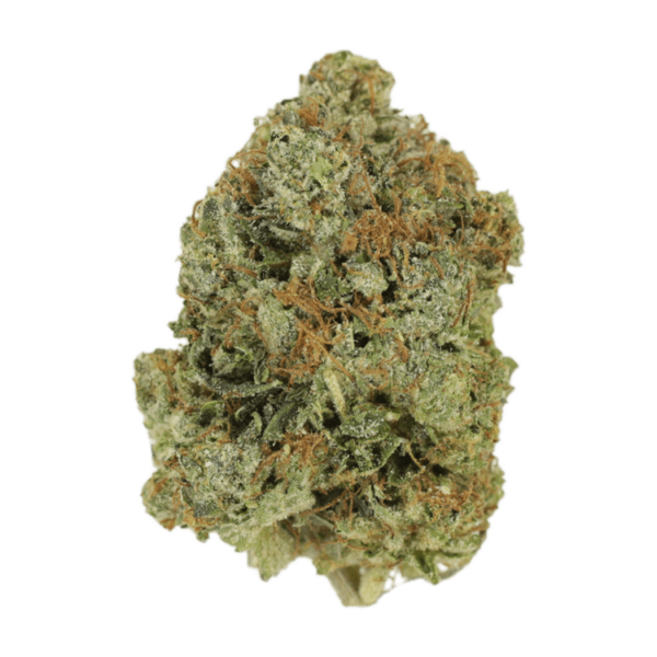 Jack Herer (popcorn) | Budderweeds Canada