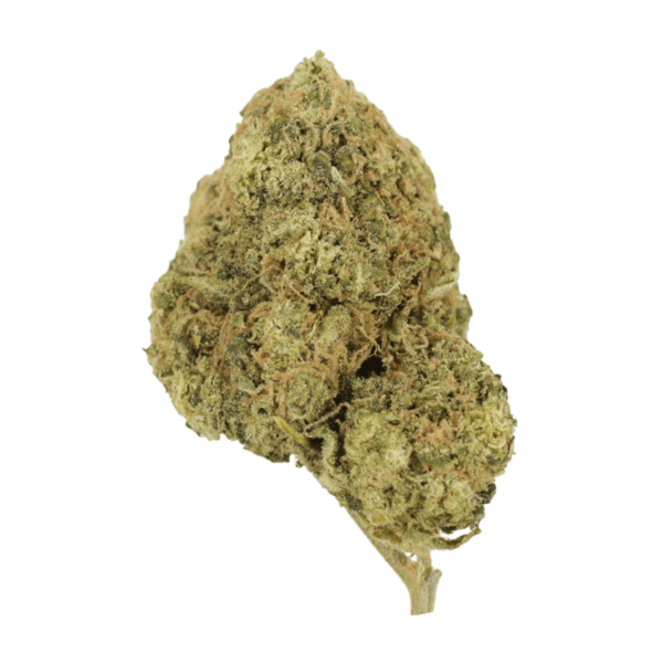 Laughing Buddha | Budderweeds Canada