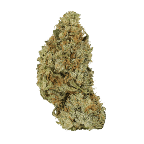 Pink Hawaiian | Budderweeds Canada
