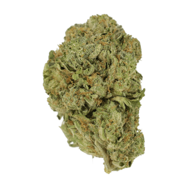 Super Blue Dream | Budderweeds Canada