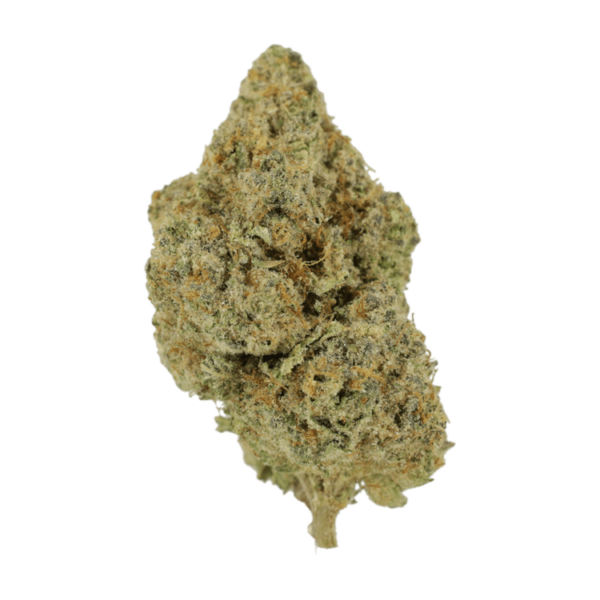 Wookies | Budderweeds Canada