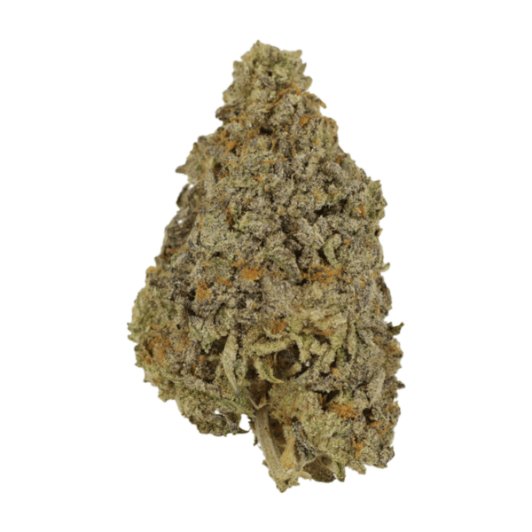 Frosty Gelato | Budderweeds Canada