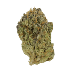 Blueberry Muffin | Budderweeds Canada