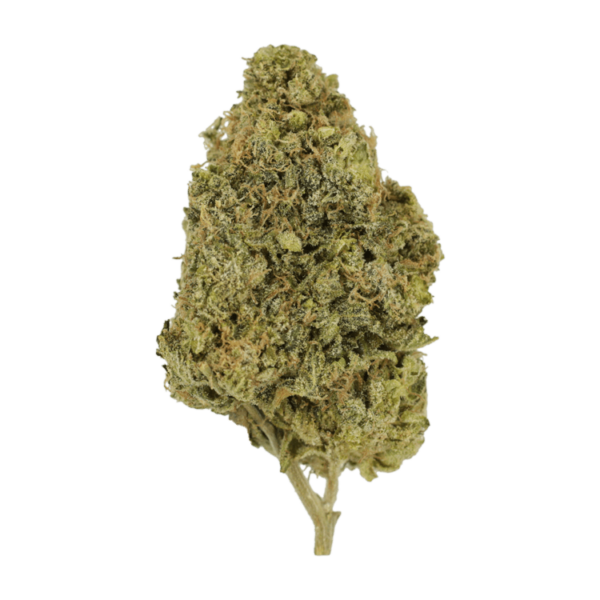 Blunicorn | Budderweeds Canada