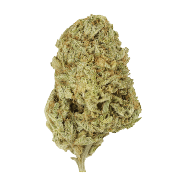 Face Mints | Budderweeds Canada