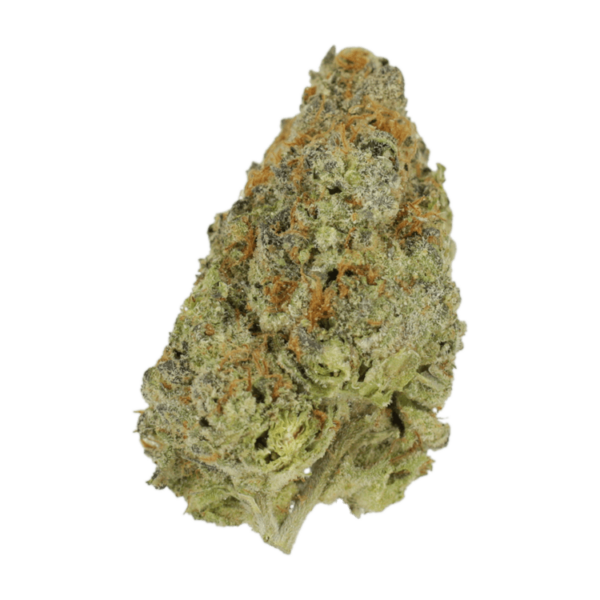 Lilac Diesel | Budderweeds Canada