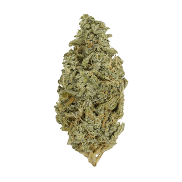 Orange Cookies | Budderweeds Canada