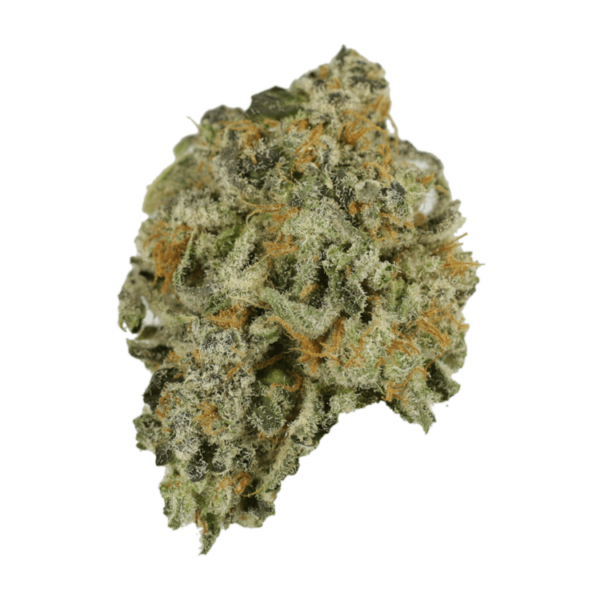 Alien Rock Candy | Budderweeds Canada