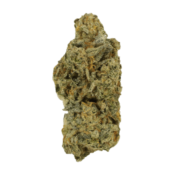 Cinderella 99 | Budderweeds Canada