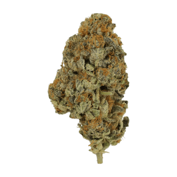 Key Lime Pie | Budderweeds Canada