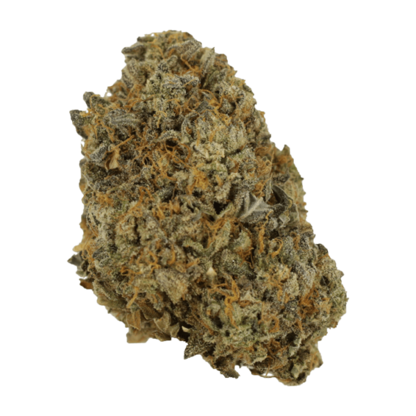 Sherb Quake | Budderweeds Canada