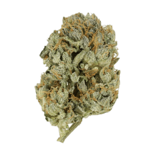 Kashmir Kush | Budderweeds Canada