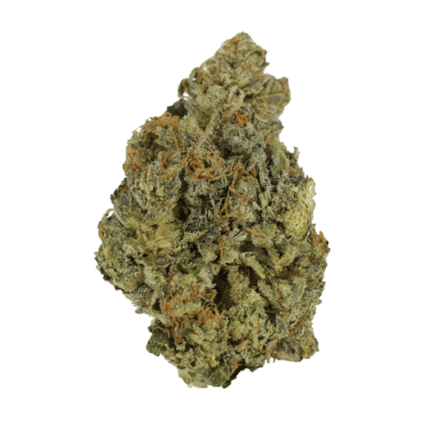 Lady Bird | Budderweeds Canada
