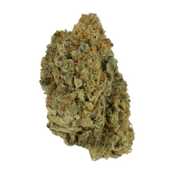 Rainbow Belts | Budderweeds Canada