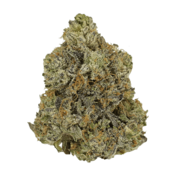 Rockstar | Budderweeds Canada