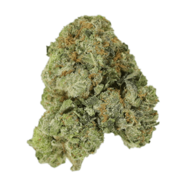 White Russian | Budderweeds Canada
