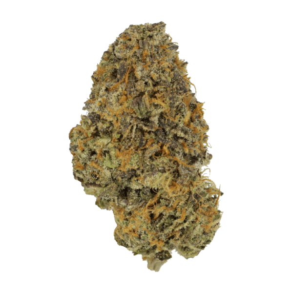 Blackberry Nightmare | Budderweeds Canada