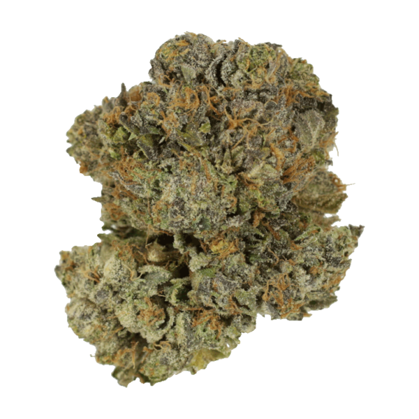 Chocolate Mint | Budderweeds Canada