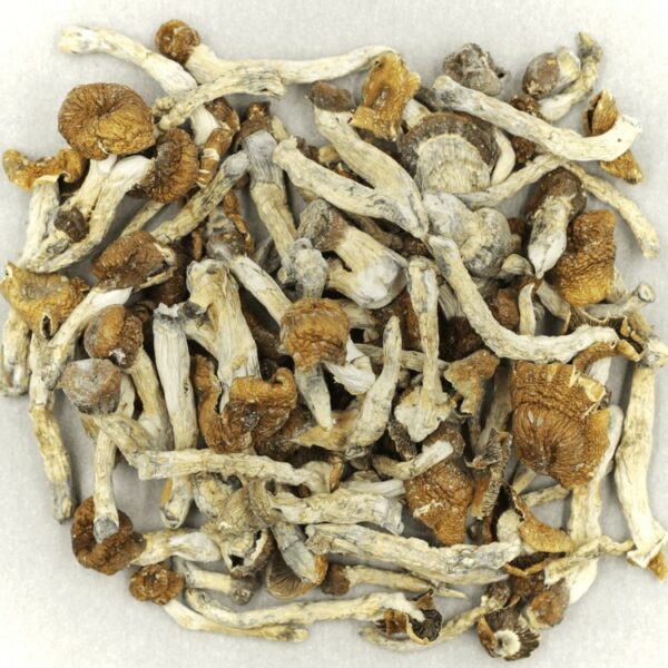 Florida White | Budderweeds Canada