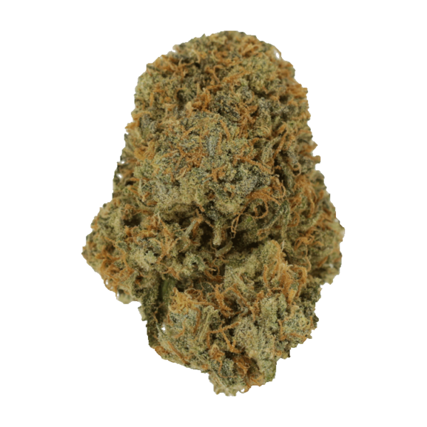 Fruit Punch | Budderweeds Canada