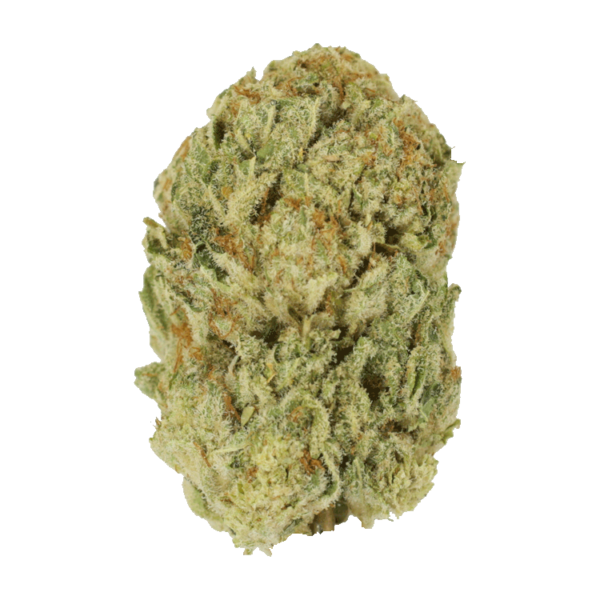 Trap Star | Budderweeds Canada