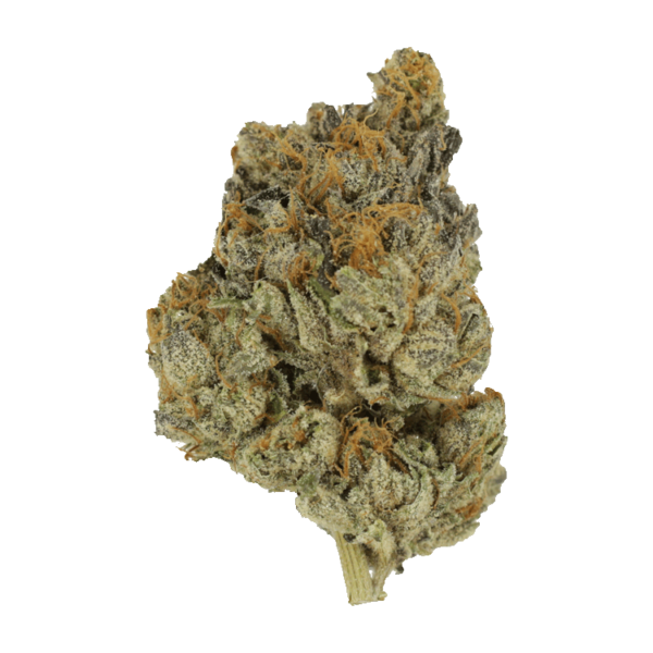 Divorce Cake | Budderweeds Canada
