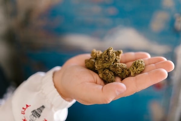 Buy cannabis Online Nunavut | Budderweeds Canada | Budderweeds Canada