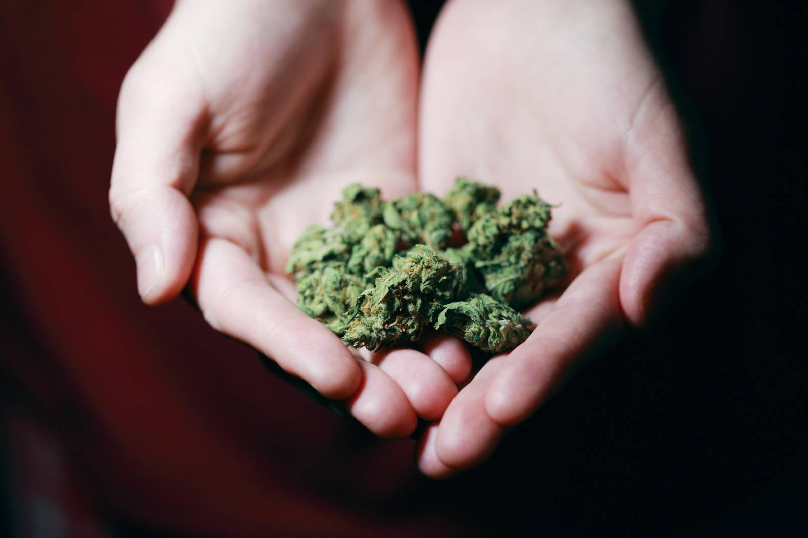  | Budderweeds Canada