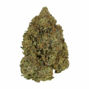 Love Affair | Budderweeds Canada