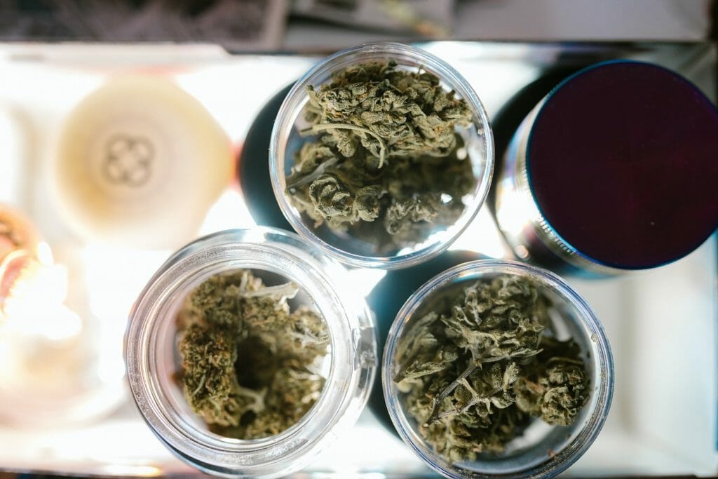 Best cannabis in Canada: Finding the Premium Hybrid Strains | Budderweeds Canada | Budderweeds Canada