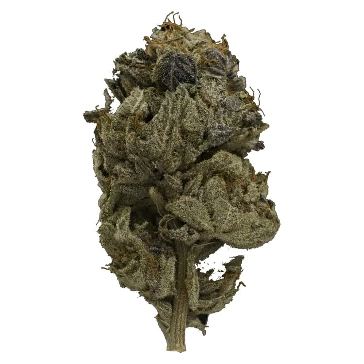 Enjoy the Heavy Indica Effects of Pink Gas Mask Strain | Budderweeds Canada | Budderweeds Canada